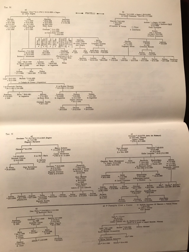 Chini Family Tree Chart